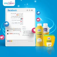Coffret Hair Style protéine de germe de blé shampoing, baume et masque